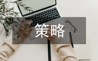 外向型國際化策略解析論文