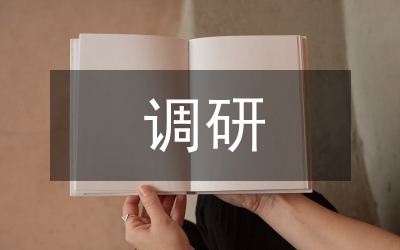 人大調(diào)研匯報(bào)材料