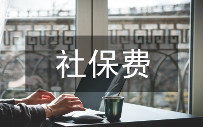 社保費(fèi)征收監(jiān)管形式分析論文